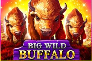 Big wild buffalo slot