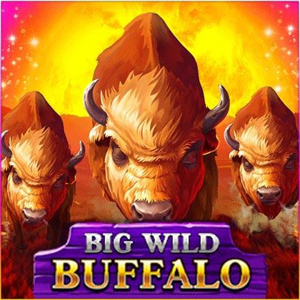 Big wild buffalo slot